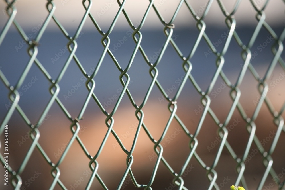 Fototapeta premium Zaun