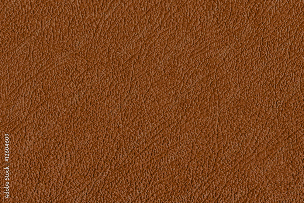Fototapeta premium Brown Skin
