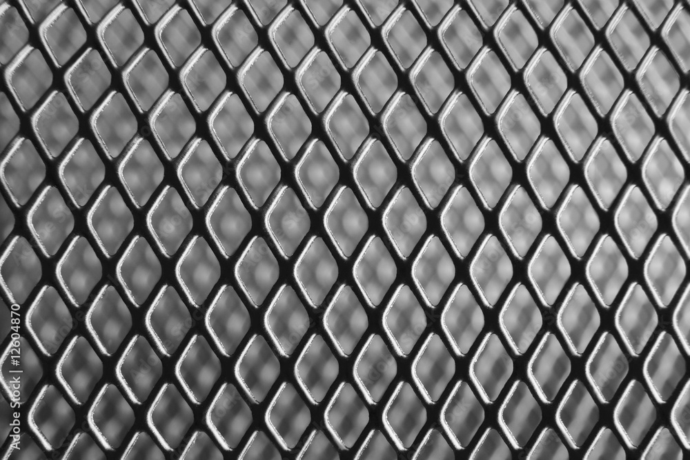 Fototapeta premium Iron Net Macro
