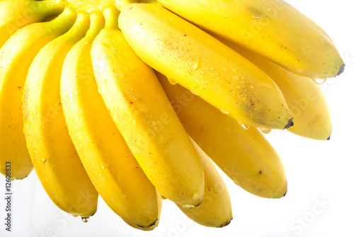 wet banana bunch 2