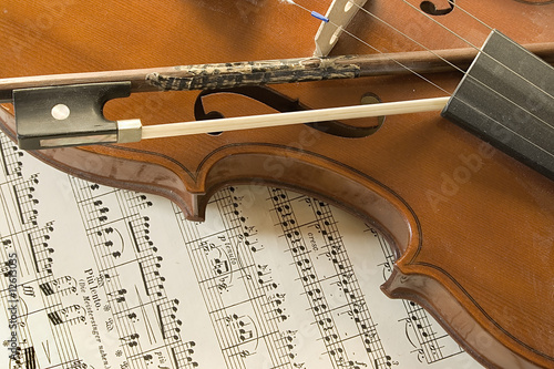 still life with violin photo