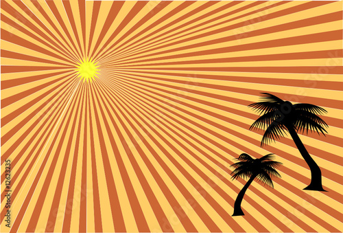 Fototapeta Naklejka Na Ścianę i Meble -  Palm trees at sunset vector
