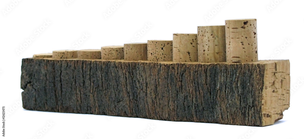 Fototapeta premium Cork Stoppers - Rolhas de Cortiça