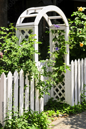 Photography White arbor in a garden