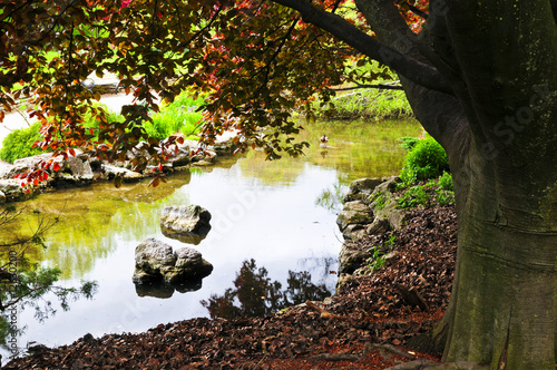 Fototapeta Naklejka Na Ścianę i Meble -  Pond in zen garden