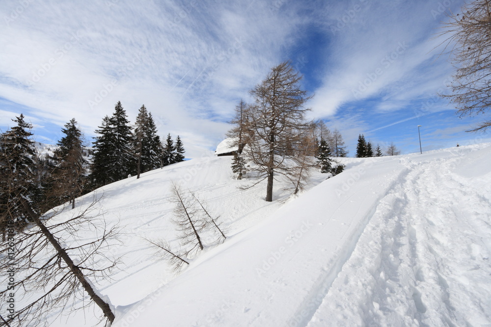 Obraz premium paesaggio innevato