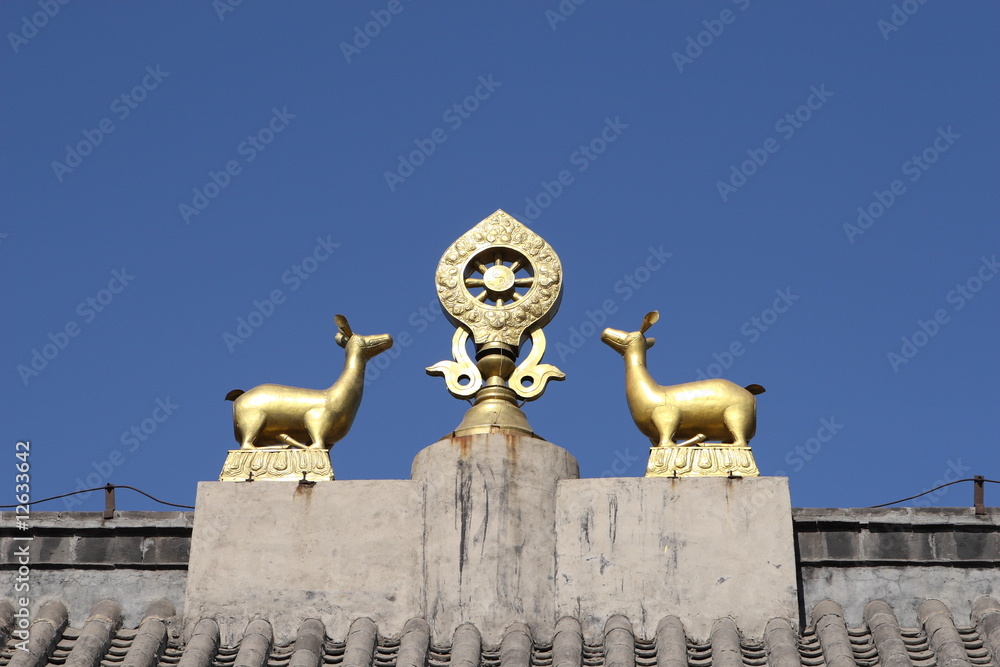 Obraz premium dharma