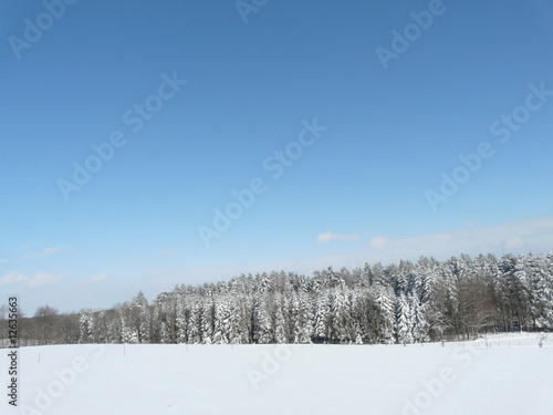 Winterlandschaft