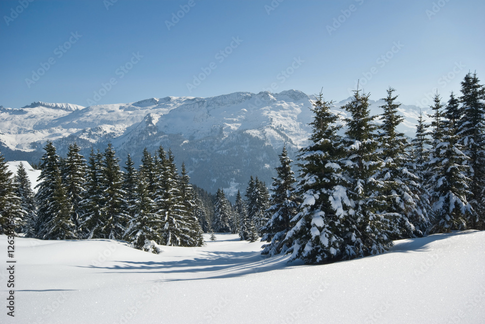 winter in Savoie winter in Savoie