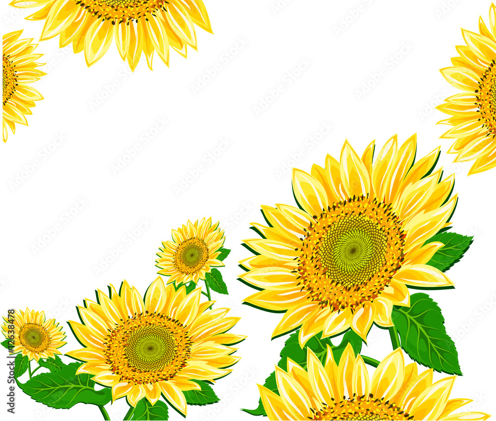 Sunflower framework Sunflower framework