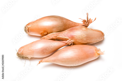 Onions isolated on a white studio background