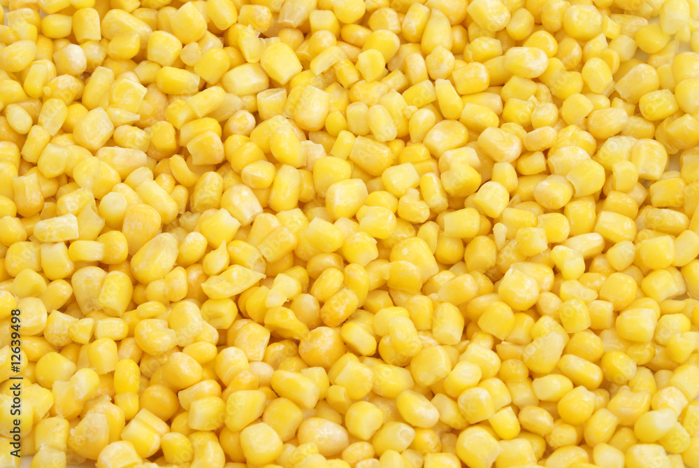Corn Background Corn Background