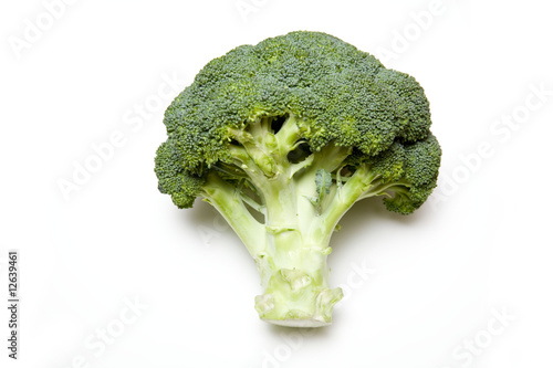 Broccoli on a white stduio background. photo