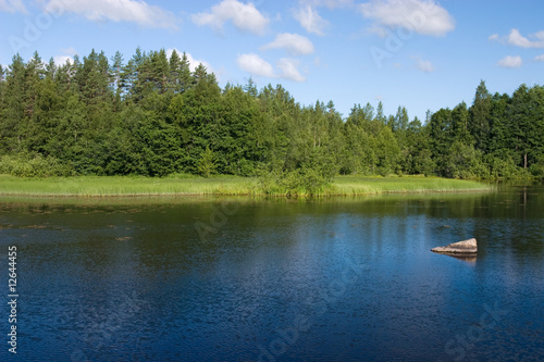 Forest lake with stone