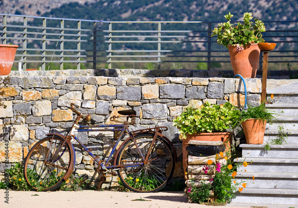 Old bicycle against stone wall and flowers in pots