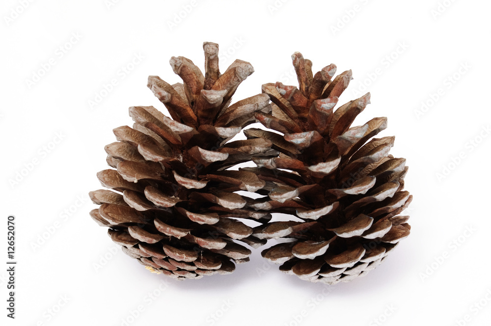 piñas piñas