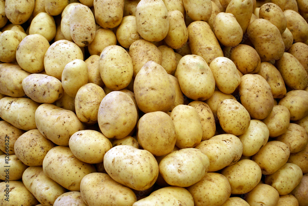 Potatos Potatos