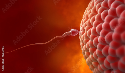 Foto Natural insemination: sperm and human egg