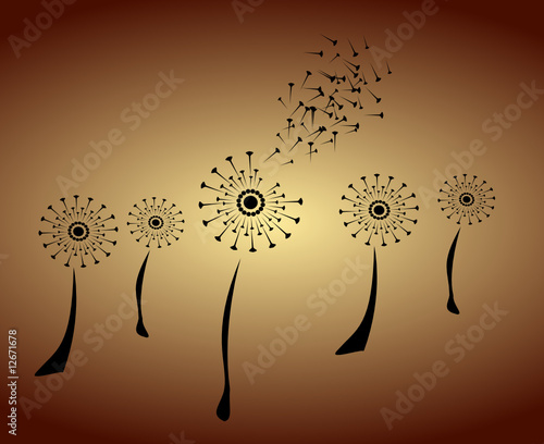 Flowers Abstract Design