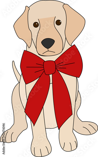 Puppy with bow