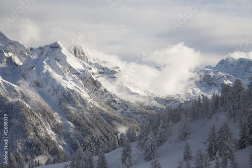 winter landscape © Michal Adamczyk