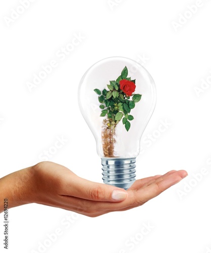 Alternative energy concept photo