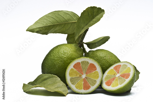 Tapety artystyczne Lima limon pomelo naranja