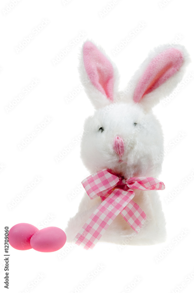 Obraz premium Easter bunny