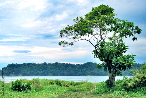 Wallpaper Mural At Tamban East Java beach side Torontodigital.ca