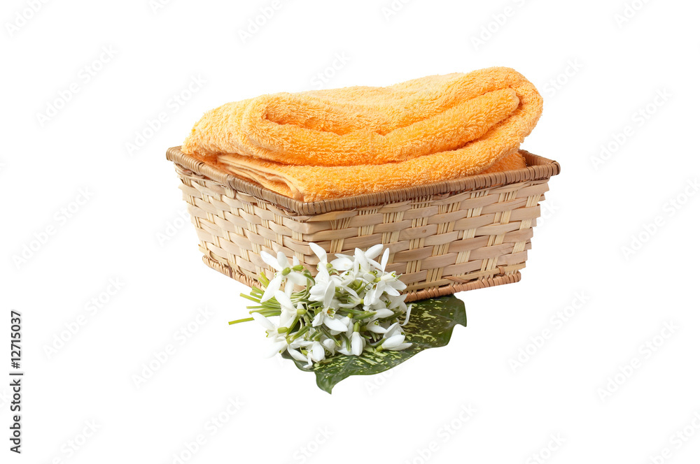 Snowdrop and towel in the basket.