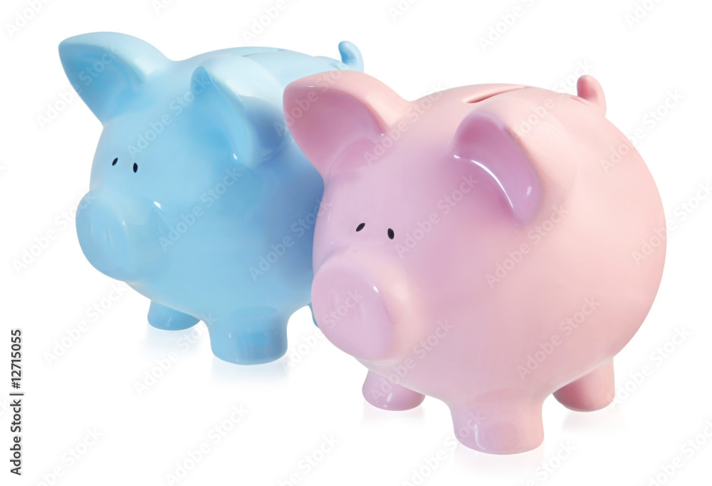 Pink and Blue Piggy Banks Pink and Blue Piggy Banks