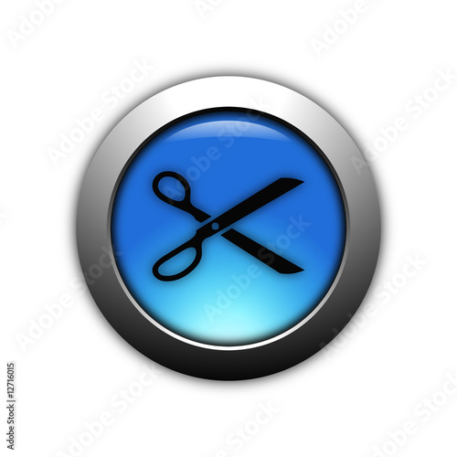 aqua blue cut button with metalic ring