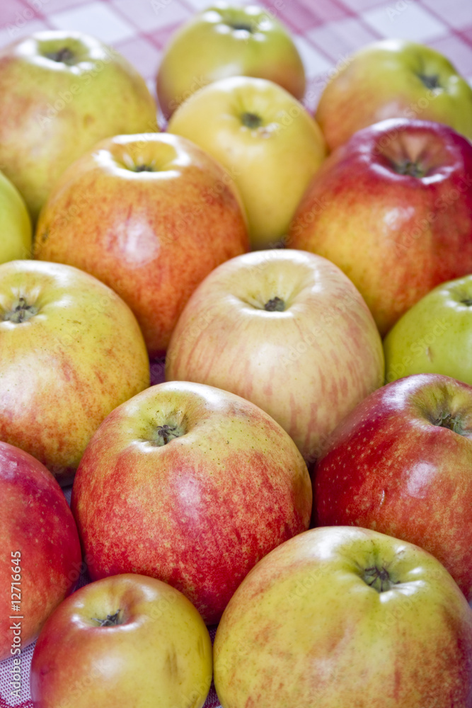 apples on a table apples on a table