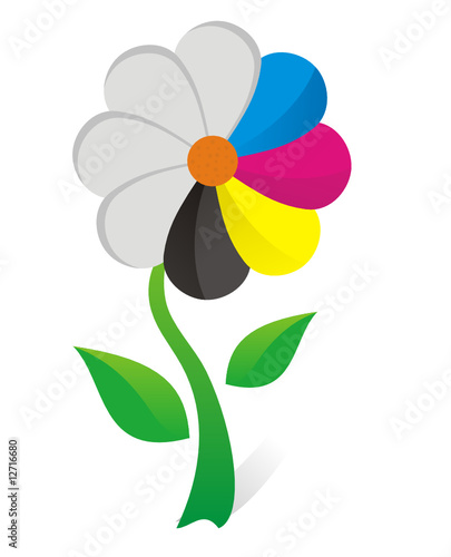 margherita cmyk