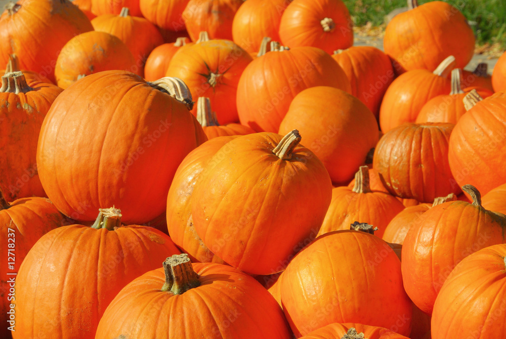 Kürbis - pumkin 26 Kürbis - pumkin 26