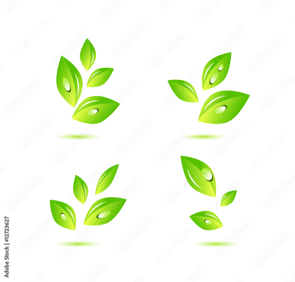 Leaves Leaves
