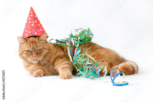 adorable red feline with confetti and a party hat