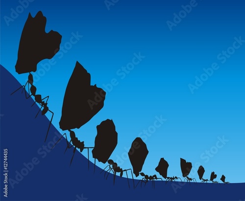 Ants silhouette