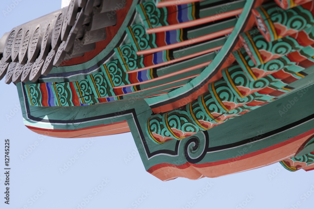 Obraz premium Drachendach