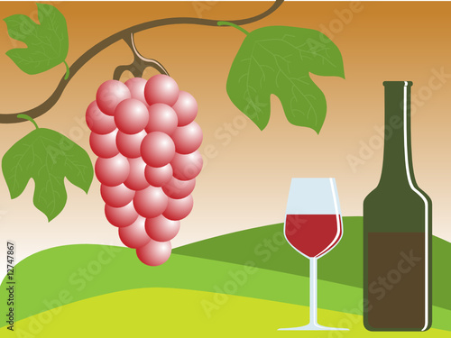 vector illustration of ripe grapes and wine