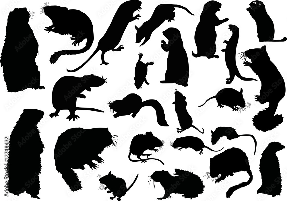 twanty one rodent silhouettes