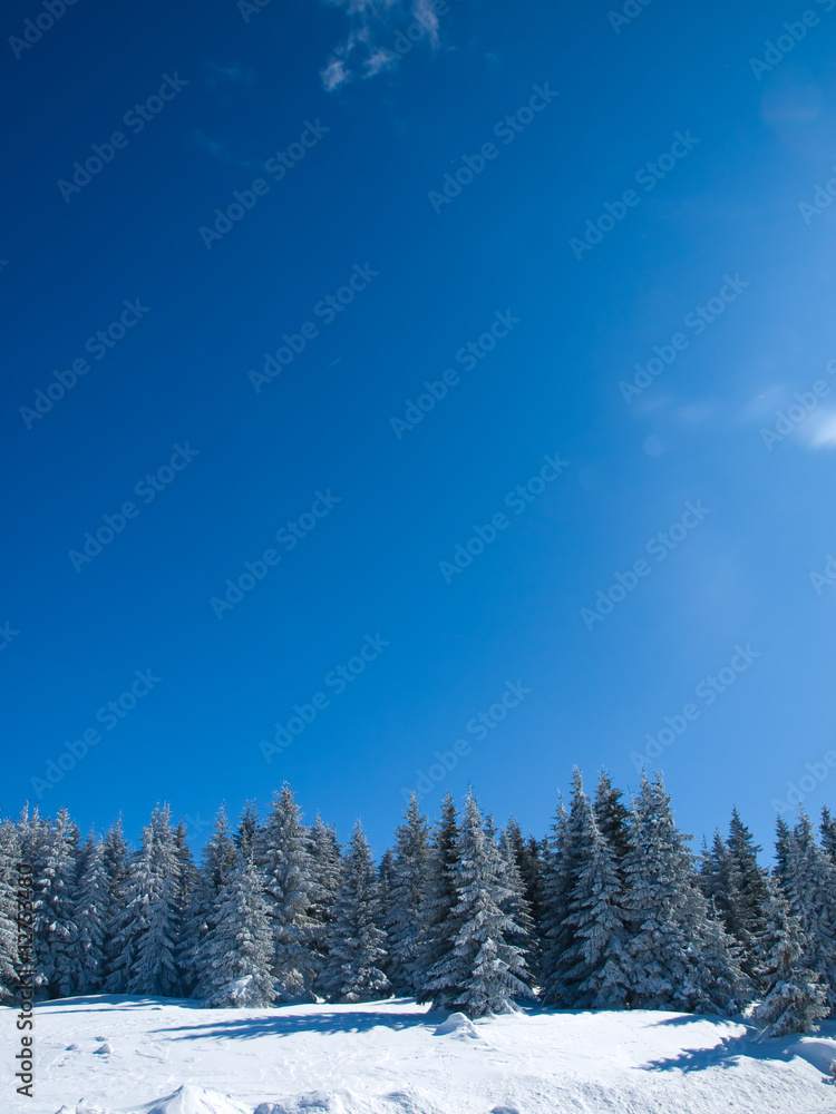 Winter landscape,Serbia