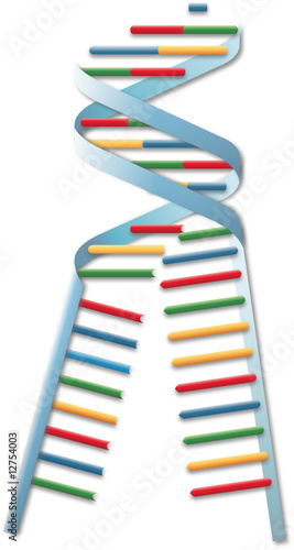 DNA
