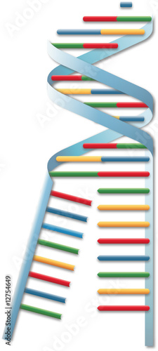DNA