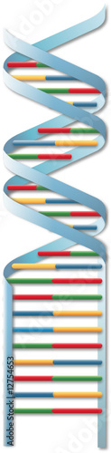 DNA