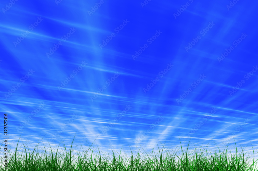 Fototapeta premium grass and sky