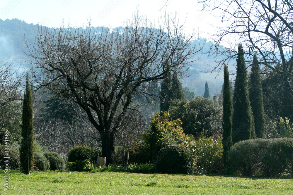 Obraz premium Jardin du Lubéron