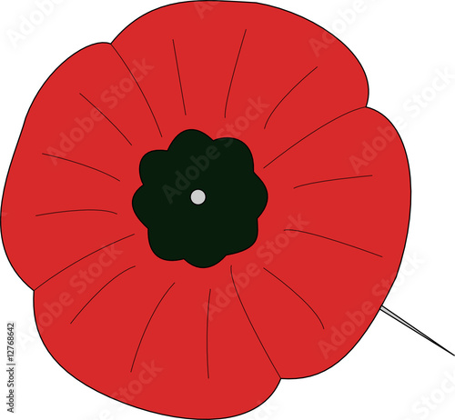 Poppy