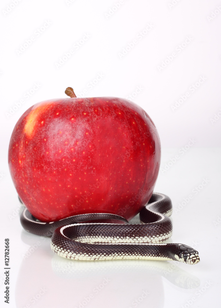 Sin Stock Photo | Adobe Stock