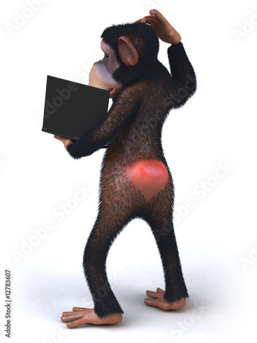 Canvas Print Singe avec un ordinateur portable